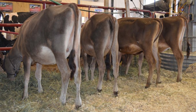 Lots 15 - 18 - 10 - 8