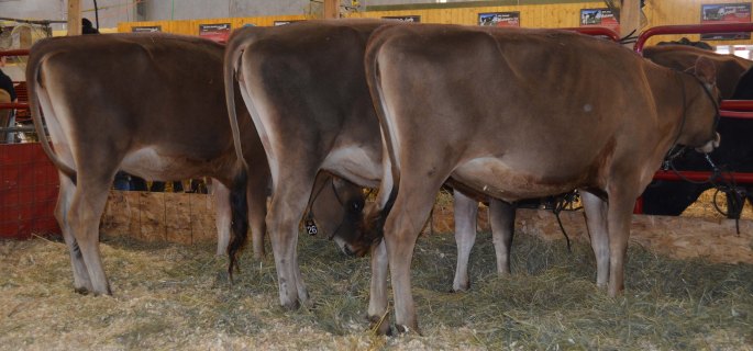 Lots 26-31-23 from L-R