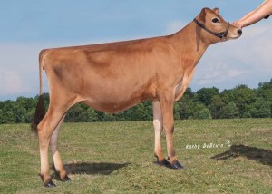 JFK54552 Edan Sweet Annie Lot 11