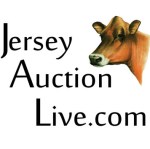 Watch any sale broadcast on Jersey Auction Live, and BID - LIVE!!!