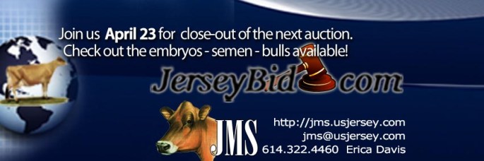Jersey Bid Banner
