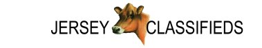Jersey Classifieds