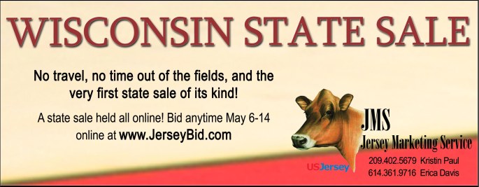 WI State Sale Banner