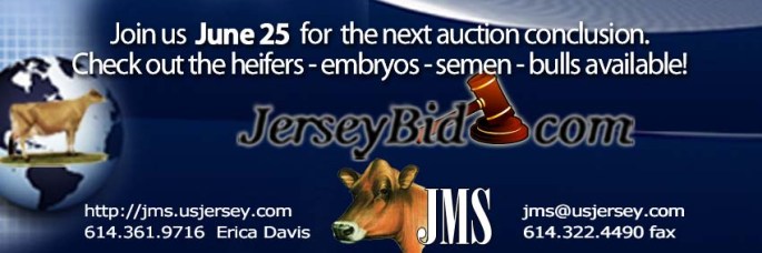 Jersey Bid Banner