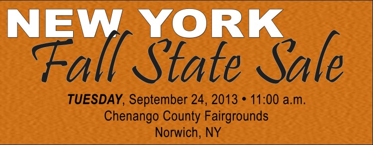 NY Fall Sale Banner