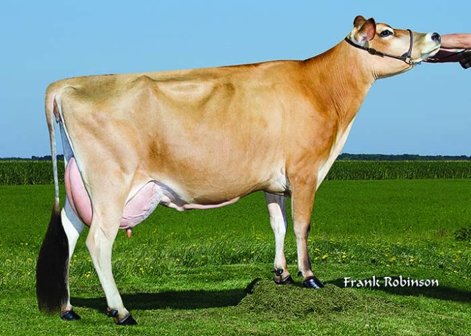 AHLEM HEADLINE MAID 34174-ET, E-90% Dam of Lot 15