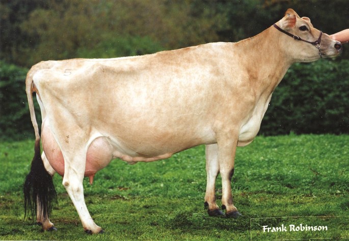 TENN HAUG E MAID, E-93% Fourth Dam of LOT 15 5-2 365 30,508 7.0 2150 4.3 1302 Overall Premier Performance, 2007 Western National