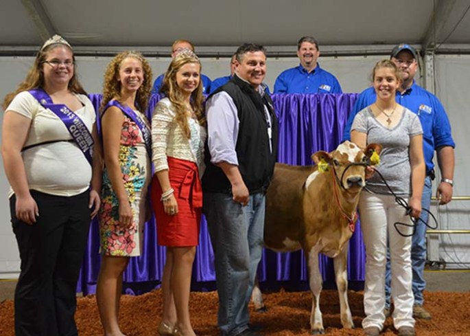 TOP SELLING CONSIGNMENT Lot 10 - Faria Brothers Marvel Maradona Consigned by Faria Bros Dairies, Dumas, TX and purchased by Sexing Technologies, WI for $10,000
