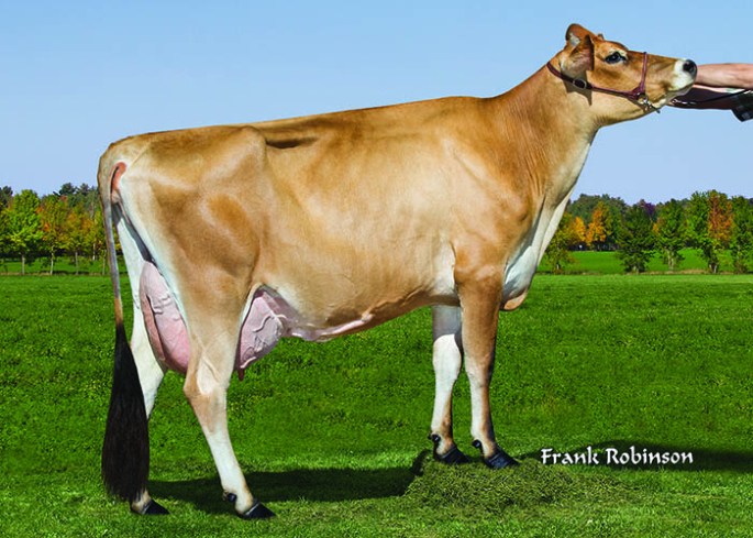 AHLEM LEGAL MINDY 35138, VG-82% Dam of Ahlem Plus Mindy 41902-ET - Selling as Lot 2