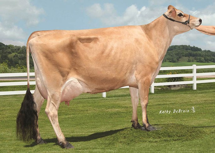 ALL LYNNS IMPULS VALENTINE-ET, VG-84% Dam of All Lynns Critic Vamp-P-ET - Selling as Lot 4