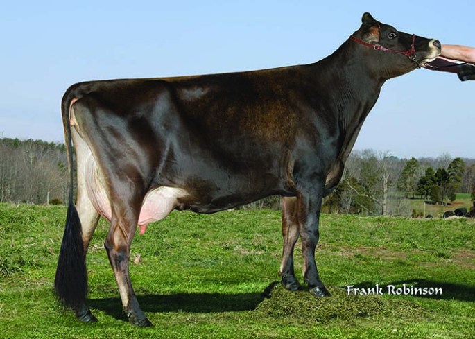 BERRYS TBONE PUCKET-ET, E-90% Dam of Exportable Embryos in Lot 17