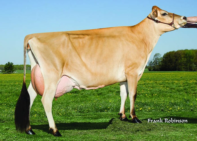 JARS OF CLAY TBONE BONNIE, E-90% Sells as Lot 19