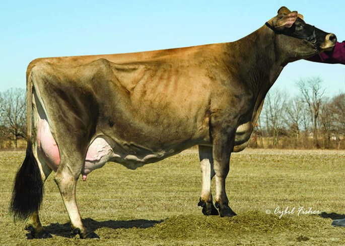 PR OOMSDALE GRATITUDE COUNTRY CASEY-ET, E-90% Grandam of Choice Lot 7, with family members available for selection in Lots 5 and 6