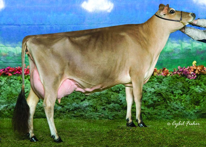 RATLIFF F PRIZE KAY-ET, E-93% Dam of Lot 11 embryos 