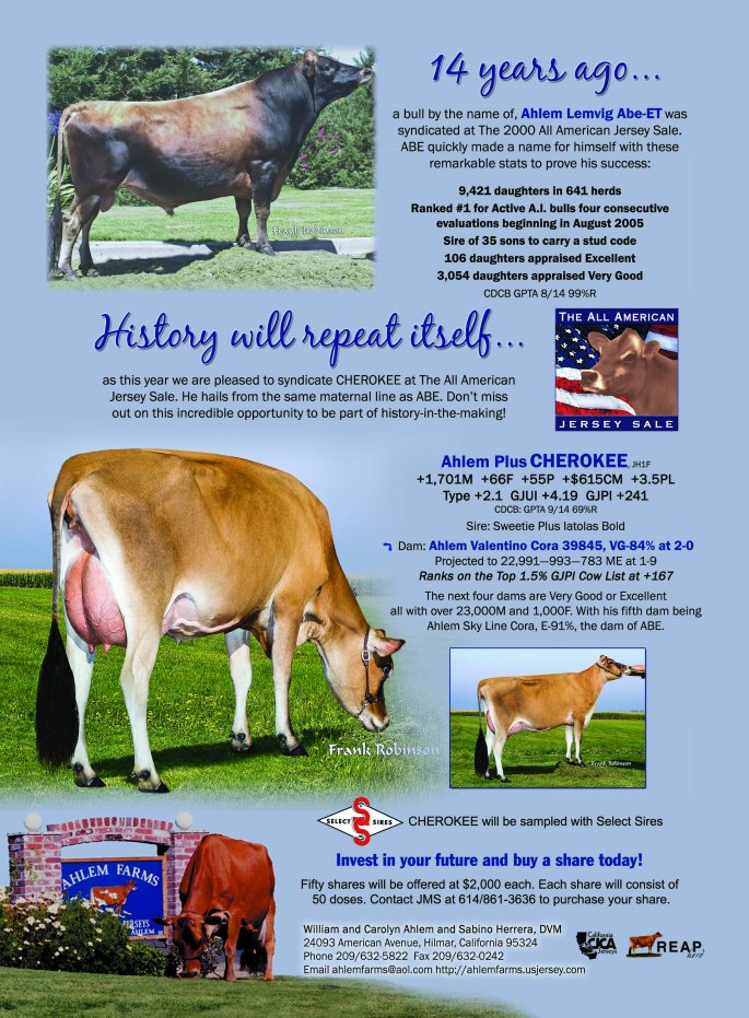 AHLEM PLUS CHEROKEE is just over the half way mark on his syndicate share reserves. You do have until Sunday at sale time, OR until "Cherokee" sells out of the 50 shares available. Talk to a JMS member or your AJCA / NAJ Area Representative TODAY to be sure you are a member of this syndicate. He brings a deep pedigree, type and numbers to the table.