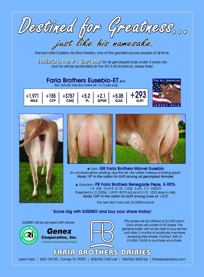 FARIA BROTEHRS EUSEBIO has just 1.5 shares remaining before his syndicate is full! Contact JMS or  your AJCA / NAJ Area Rep NOW if you would like to be a part of this bull syndicate!!