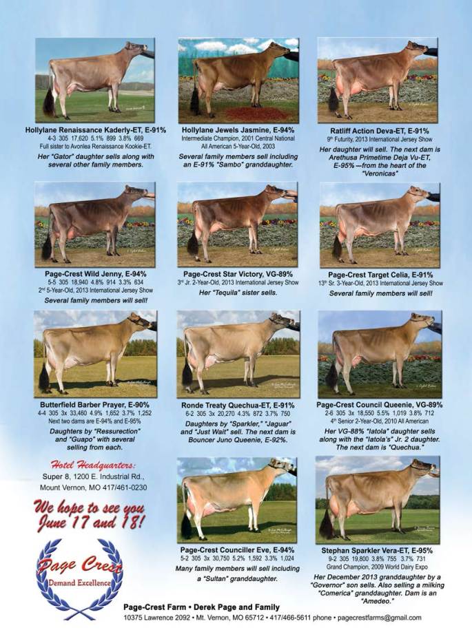 Page Crest Dispersal  Flyer, Page 2 As distributed by Jersey Marketing Service