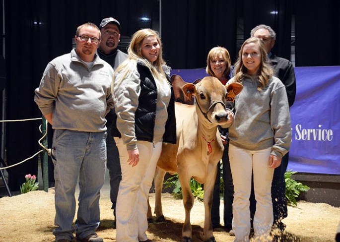 Lot 8 - Goff Layne 23247-ET Buyer - Sexing Technologies, WI Consigned by Goff Dairy, NM Purchase Price $10,800