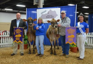 GRAND CHAMPION GRAND - Lot 58 - Senn-Sational Iatola Abigail, Backwoods Jerseys, KY RESERVE GRAND - Lot 56 - Millers Justice Fran, Dick Miller Family, IN