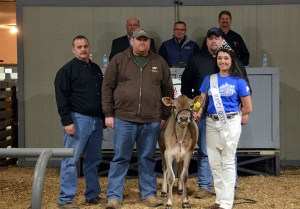 SECOND HIGH SELLER Lot 10: Heartland Santiago Ainsley-ET brought $5,700 for her consignors, Heartland Jerseys, KS (represented by Justin Edwards, second from Left front). The buyer of this young genomic heifer was Leroy and Martha Sue Miller, Fredricksburg, OH (represented by Greg Lavan, far left front). Rachel Hinton is the Kentucky Jersey Queen on the halter, surrounded by sale staff of Jason Robinson, Herby Lutz, Chris Lundgren and Lynn Lee.