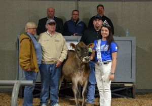 THIRD HIGH SELLER (TIE) Lot 29: Freemans Critic Stormy-P-ET brought $5,100 and was consigned by David and Diana Freeman, IL (front left). Buyer of this polled heifer was David Kulp Jr., PA. Kentucky Jersey Queen Rachel Hinton is at the halter, with sale staff Jason Robinson, Herby Lutz, Chris Lundgren and Lynn Lee.