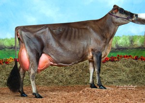 Sexed Embryos from FAMILY HILL SULTAN FOXY, E-94% are available.