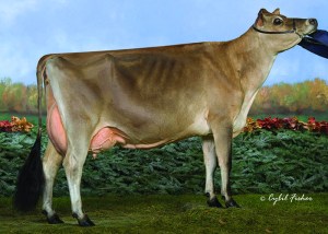 LOT 100 - EMBRYOS  RATLIFF AMEDEO KRISSY-ET, E-90% Full Sister the Dam of the Lot 100 Embryos by "Applejack" and "Kacie," E-92%