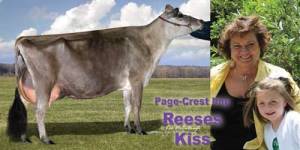 Reeses-Kiss
