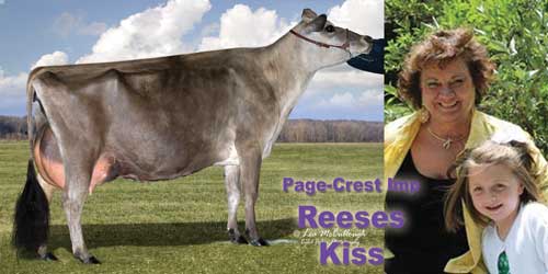 The Page family donated PAGE CREST IMP REESES KISS-ET with the proceeds from the syndicate and from the sale of the heifer to go to the Reese Burdette and Patricia Stiles fund as they continue to recover from injuries in a fire. THE ENTIRE SALE CREW, PAGE FAMILY, AND BREEDERS AT THE SALE SEND ALL THEIR BEST WISHES ON A SPEEDY RECOVERY!! $16,700 was raised and the calf sold in her own right for $5,000 (for a total of $21,700). "Reeses Kiss" will be owned by Reese Burdette.