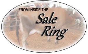 Sale Ring Logo