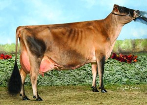 HURONIA CENTURION VERONICA 20J, E-97% ___________________ LOT 26 - 10 Units of Sooner Centurion-ET Semen. "Veronica" is a daughter of "Centurion" and was National Grand Champion in 2004