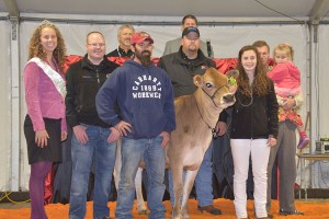 Lot 11 - TJL VISIONARY BREE-ET is a September, 2013 heifer who ranks 80th in the nation for Heifer GJPI (9/2014) with GJPI +246. This heifer with AI interest was consigned by Travis Lehnertz, MN and was purchased by Matthew Steiner, OH for $10,100