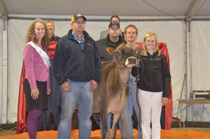 Lot 15 - WOODMOHR JAMAICA MYSTERY, E-90% will make her new home with Kyle Burk of MO. Consigned by Woodmohr Jerseys, WI, this "Jamaica" daughter sells fresh in July. She brought a price of $6,200.