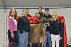 Lot 18 - RATLIFF ACTION ANGELA-ET, VG-88% is an "Action" daughter from 3x National Grand Champion, Ratliff Price Alicia, E-95%. Consigned by Ron and Christy Ratliff, KS, "Angela" was purchased by Sistrunk Farms in LA for $7,300.