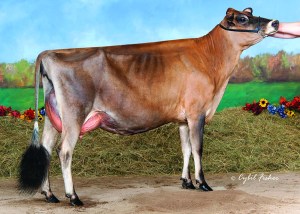 LOT 22 - PFAFFS PRAIRIE TEQUILA GRACIOUS, VG-89% @2-11 __________________ First Choice Female sired by Rock Ella Impression-ET and out of "Gracious." There are nine heifer pregnancies due in March, 2015