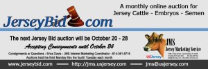 Jersey Bid Banner