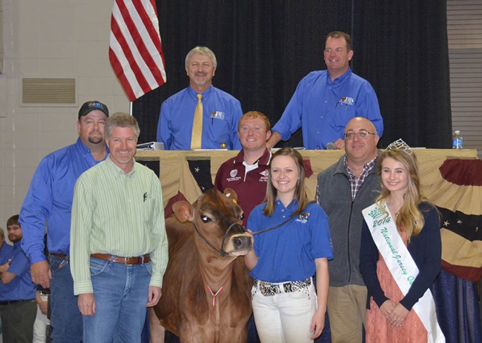 LOT 4 - AHLEM VOLCANO BUTTONS 42731 - was the second high lot of the 2014 All American Sale. For $30,000, she will travel to River Valley Farm, Tremont, IL and hailed from William Ahlem, Jr.'s herd in Hilmar, CA.
