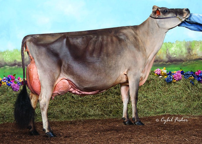 EXTREME ELCTRA, E-95% is the third dam to Lots 7and 11 in the Holiday Spectacular