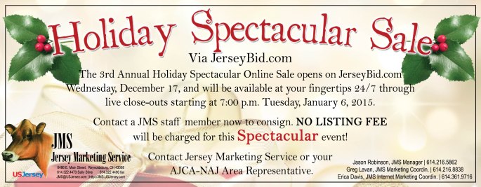 Holiday Spectacular