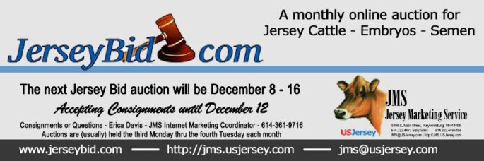 Jersey Bid Banner