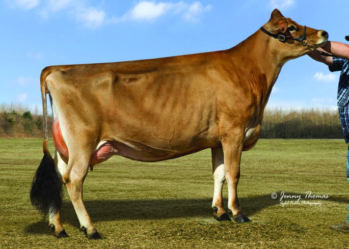 LOT 32 - TJF/LEE VALENTINO MAMME 983-ET, VG-86% (Grandam)