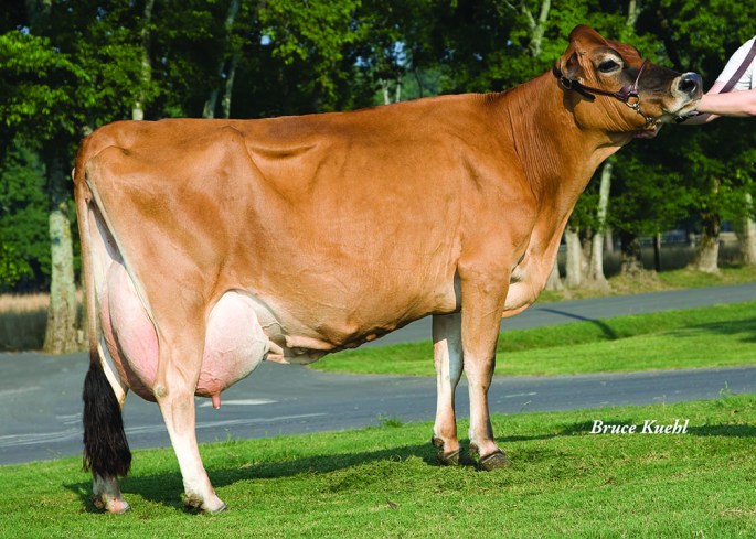 Berrys Parade Medley