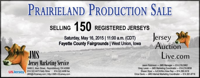 With a focus on Mid-West Jersey genetics, we are looking for great type and production for the Prairieland Production Sale!