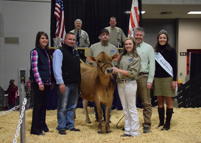 Lot 2 was the third high selling females, Ahlem Harris Princess 45468{5}-ET. Alta Genetics, Canada, added her to their female procurement roster.