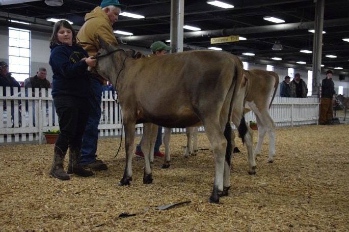 LOT 14 - WINTERPLACE LOOK OUT GLASS, 1st place Summer Yearling