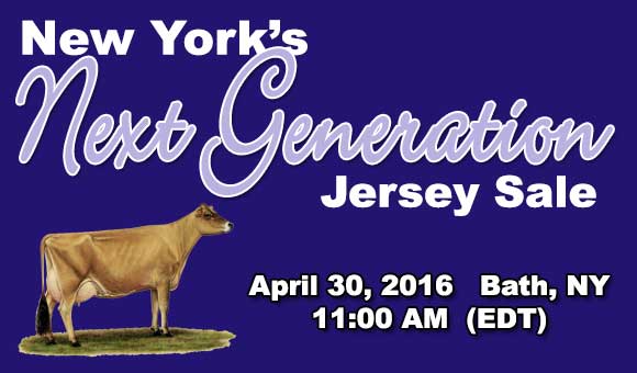 NEW YORK'S NEXT GENERATION SALE