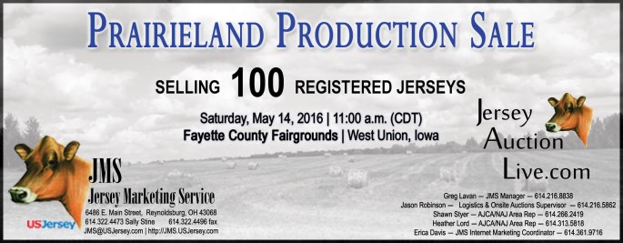 CLICK ON BANNER FOR CATALOG LINK