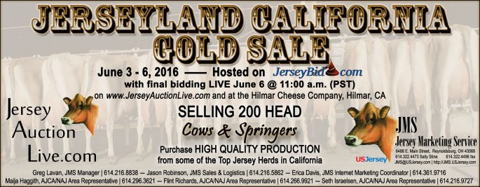 A spring Jerseyland California Gold sale has been scheduled, offering larger groups of springers and cows! Starting on JerseyBid.com, the sale will move to a live format on June 6.