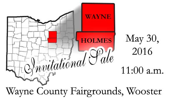 CLICK ON PICTURE FOR CATALOG LINK