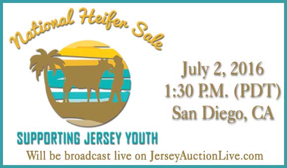 CLICK HERE for the National Heifer Sale Consignment video album